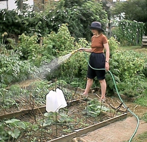 Judith Watering (22 June)